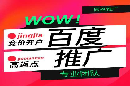 百度竞价价格优化，成功案例解析