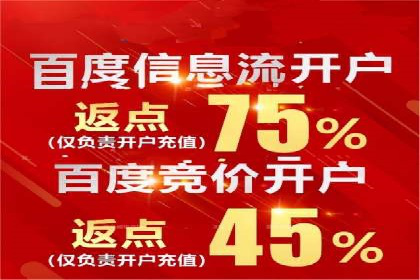 成功案例：SEM外包公司助力企业实现低成本广告